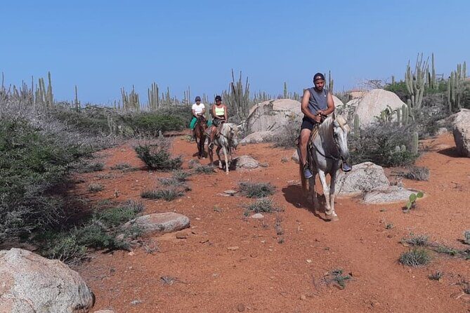 Aruba Horseback Riding Tour to Hidden Lagoon - The hidden lagoon stop: donkeys, iguanas, and parakeets for photos