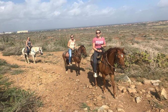 Aruba Horseback Riding Tour to Hidden Lagoon - Departure time strategy: morning starts vs late-afternoon calm