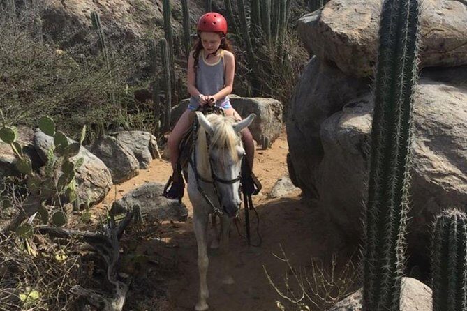 Aruba Horseback Riding Tour to Hidden Lagoon - Who should book this Aruba horseback ride (and who might rethink it)
