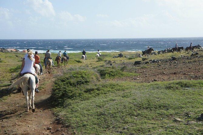 Aruba Horseback Riding Tour to Hidden Lagoon - Riding the Cunucu countryside instead of Aruba traffic