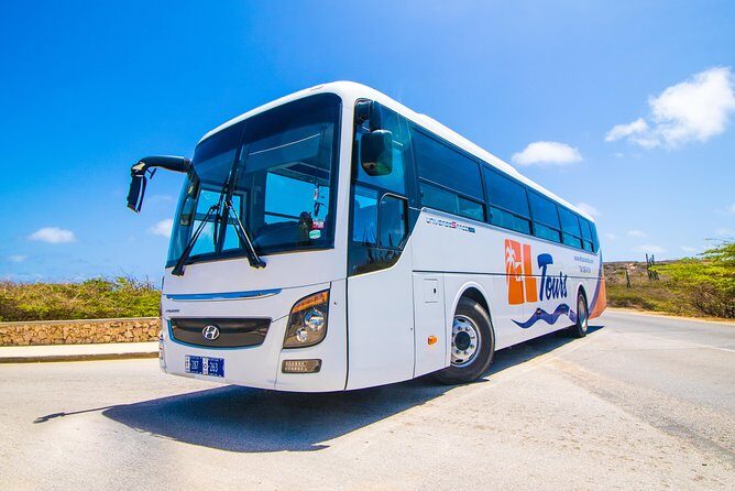 Aruba Island Sightseeing Tour - Stop 1: Aruba Aloe Factory, Museum, and Store (More Than a Souvenir Stop)