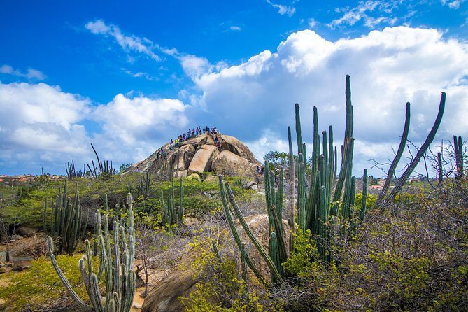 Aruba Island Sightseeing Tour Plus Arashi Beach Visit - Casibari Rock Formations: The Quick-Walk Viewpoint
