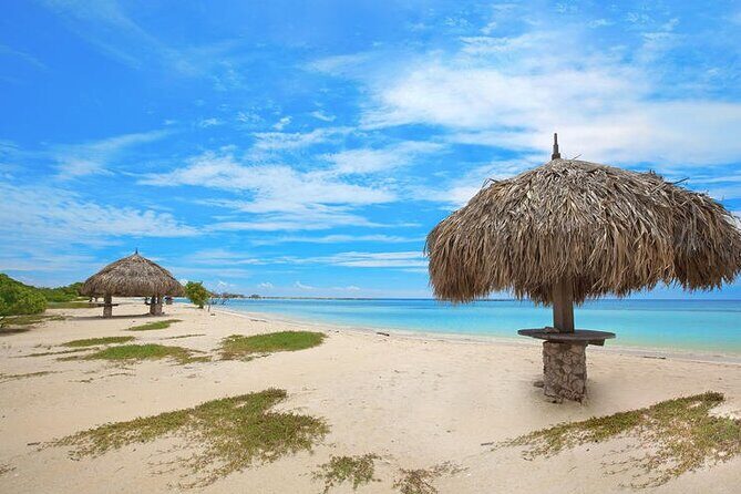 Aruba Jeep Tour: Natural Pool, Caves and Baby Beach Adventure - Quick hits you’ll care about