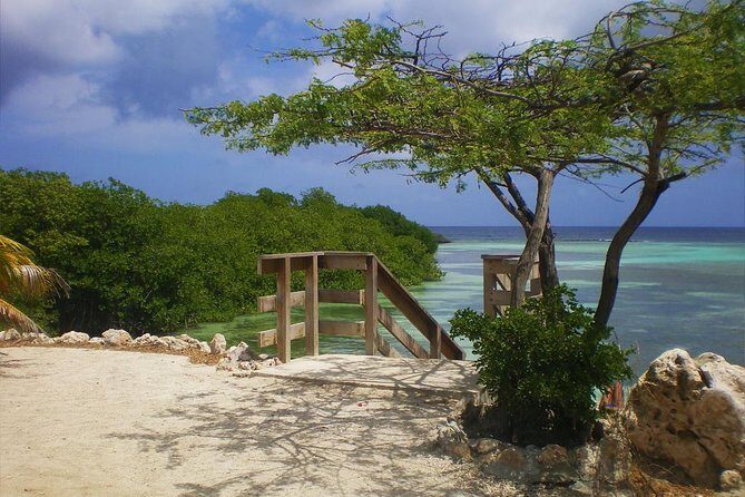 Aruba Mangel Halto and Baby Beach Snorkeling Guided Tour - Getting to the beaches: hotel pickup, open-air bus, and timing reality