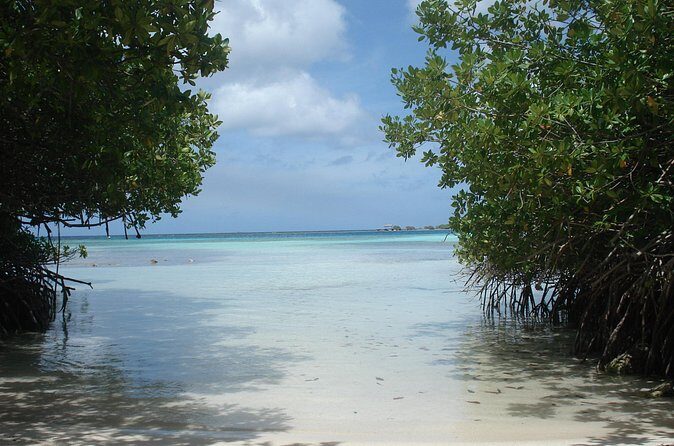 Aruba Mangel Halto and Baby Beach Snorkeling Guided Tour - Stop 2: Baby Beach snorkeling where the shallows shine