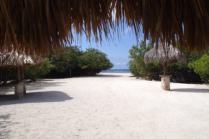 Aruba Mangel Halto and Baby Beach Snorkeling Guided Tour - What the open-air bus ride is really like