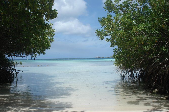Aruba Mangel Halto and Baby Beach Snorkeling Guided Tour - Who this tour suits best (and who might prefer solo time)