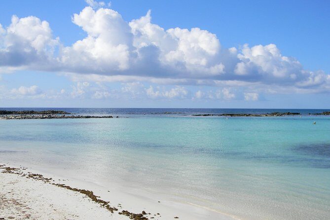 Aruba Mangel Halto and Baby Beach Snorkeling Guided Tour - Price check: what $57 buys you in Aruba snorkeling value