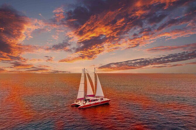 Aruba Morning Snorkeling or Sunset Sail to Boca Catalina With BBQ - Key Points You’ll Feel During the Trip