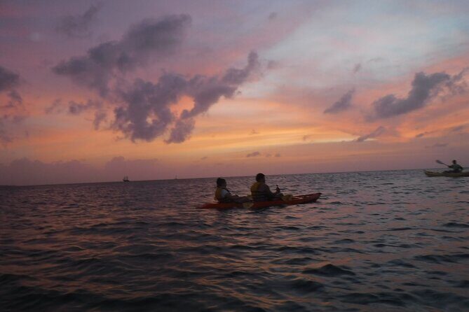 Aruba Night Glass Kayak Tour - Arashi Beach at 6 PM: what the night kickoff is like