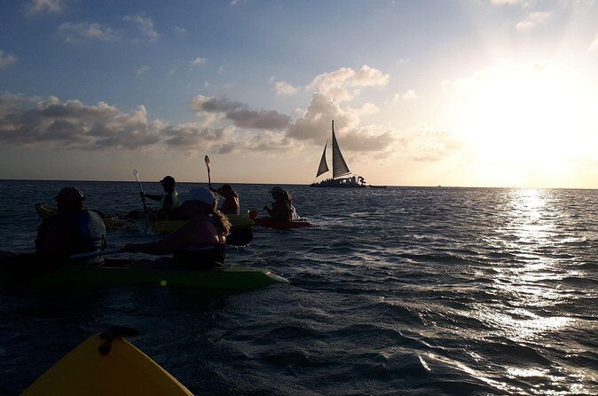 Aruba Night Glass Kayak Tour - Who should book, and who should sit this one out