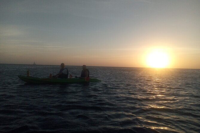 Aruba Night Glass Kayak Tour - Price and value: is $80 worth it?