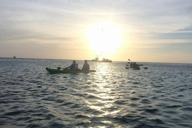 Aruba Night Glass Kayak Tour - Practical things to pack and do before 6 PM