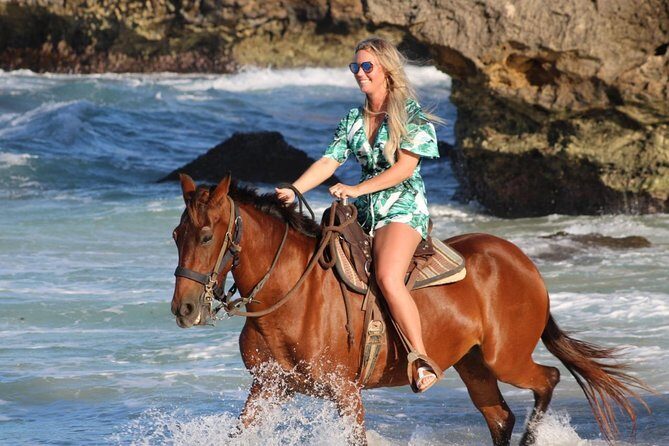 Aruba North Coastline: Small-Group Horseback Riding Tour - Key things that make this ride worth your time