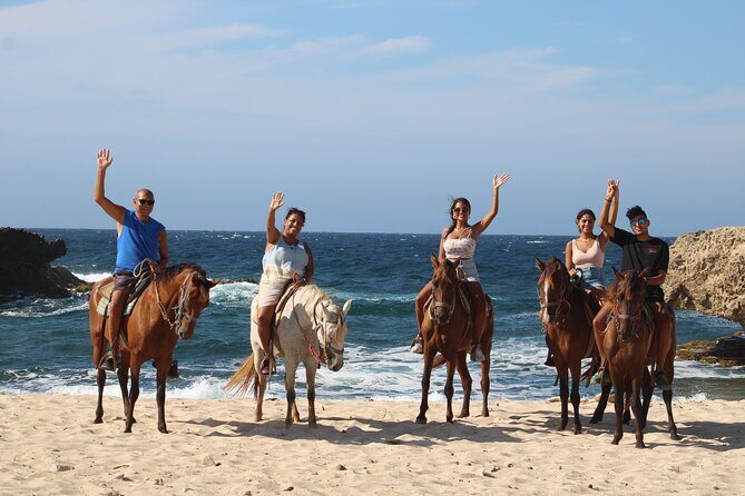 Aruba North Coastline: Small-Group Horseback Riding Tour - Guides and Horses: What You Should Expect From the Operation