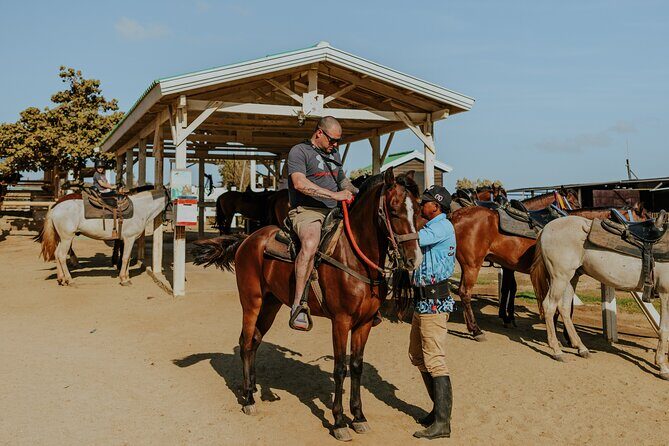 Aruba North Coastline: Small-Group Horseback Riding Tour - What to Wear and Bring (So You Don’t End the Ride Miserable)
