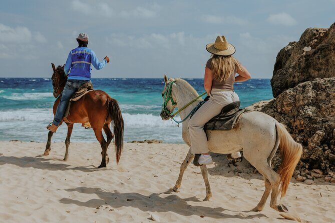 Aruba North Coastline: Small-Group Horseback Riding Tour - First Stop at the Ranch: Instructions Before You Mount