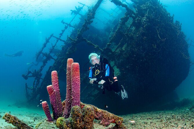 Aruba One or Two Tank Scuba Dive - Aruba wreck-and-reef scenery that’s practical, not just pretty