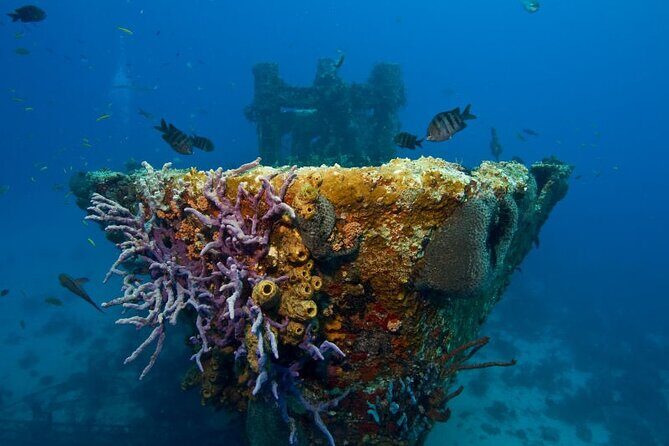 Aruba One or Two Tank Scuba Dive - How to read the “20 to 100 feet” range without guessing wrong