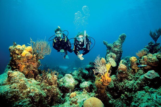 Aruba One or Two Tank Scuba Dive - Location, timing, and “sites may change” in real life
