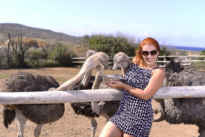 Aruba Ostrich Farm Tour with Lunch - Why Aruba Ostrich Farm is a great short stop