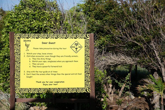 Aruba Ostrich Farm Tour with Lunch - Price and value: is $38 really fair?