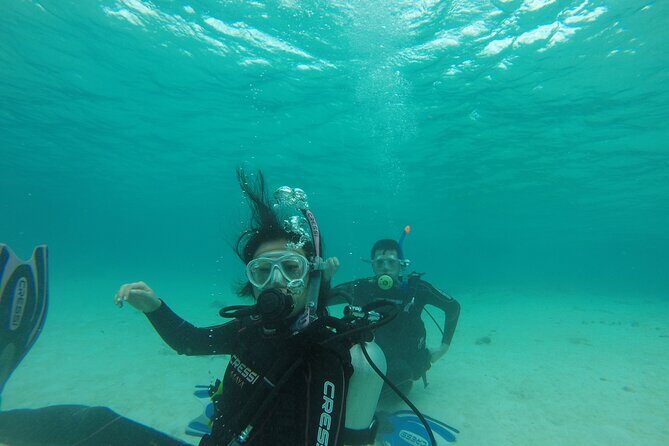 Aruba PADI Scuba Diving Program Non Certified Divers - What You’ll See: Coral, Fish, and a Possible Wreck Stop