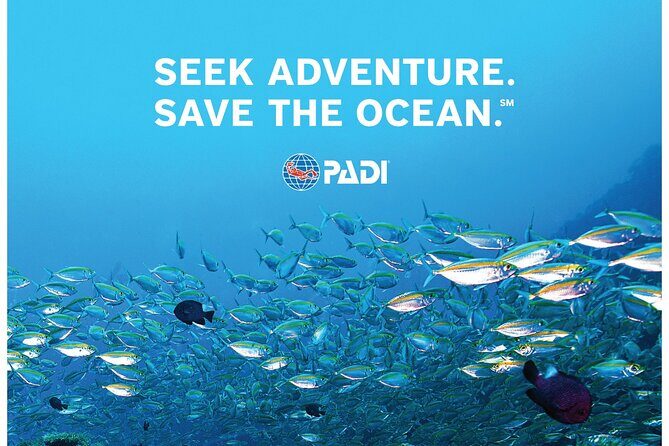 Aruba PADI Scuba Diving Program Non Certified Divers - Who This Program Is Best For (And What It Isn’t)