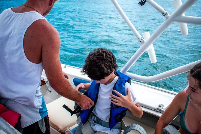 Aruba Parasailing Experience from Noord - Views You’ll Actually Want: Coastline, Shipwreck Possibilities, and Wildlife