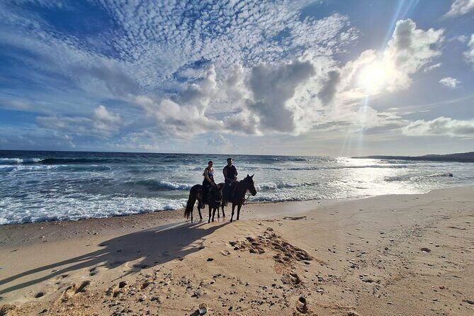Aruba Private, 2 Hour Horseback Riding Tour For Advanced Riders - Waivers, helmets, and getting matched to the right horse