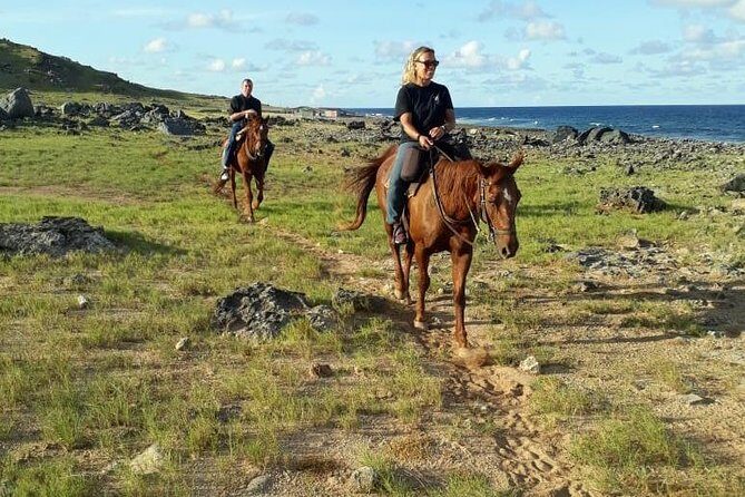 Aruba Private, 2 Hour Horseback Riding Tour For Advanced Riders - Ranch bar time: what happens before and after the ride