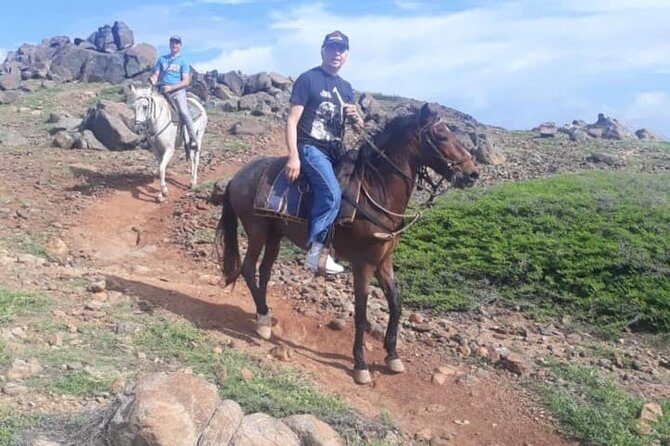 Aruba Private, 2 Hour Horseback Riding Tour For Advanced Riders - Safety and control: why the guide’s horse-check matters