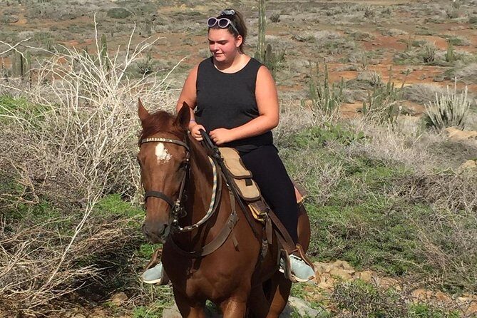 Aruba Private, 2 Hour Horseback Riding Tour For Advanced Riders - 2 hours in Aruba’s rugged northeast country (with a route that fits your control)