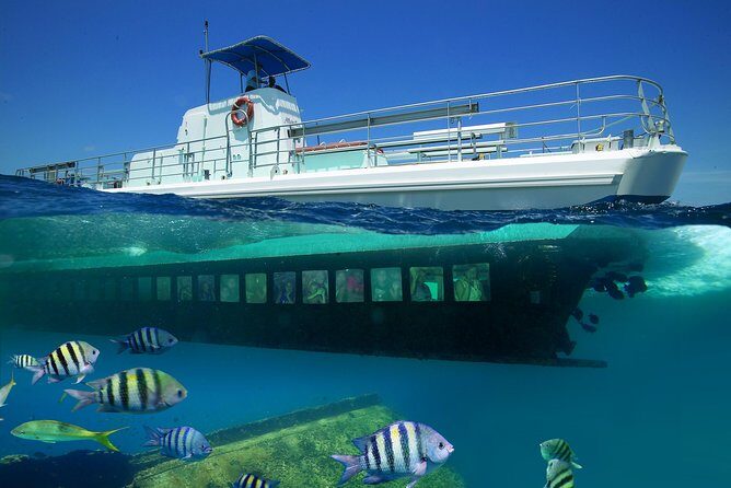Aruba Semi-Submarine Cruise from Palm Beach - Key things to know before you go