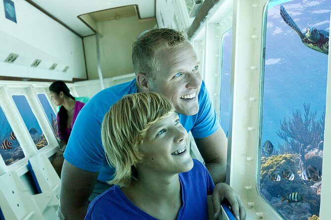 Aruba Semi-Submarine Cruise from Palm Beach - Semi-Sub Basics: Dry Views Just Under the Surface