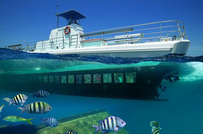 Aruba Semi-Submarine Cruise from Palm Beach - The Antilla WWII Shipwreck: The Star Attraction