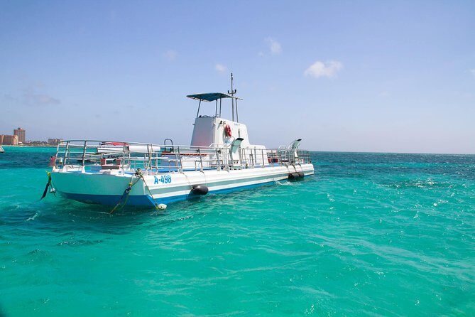 Aruba Semi-Submarine Cruise from Palm Beach - Motion Sickness: The Real Decision-Maker