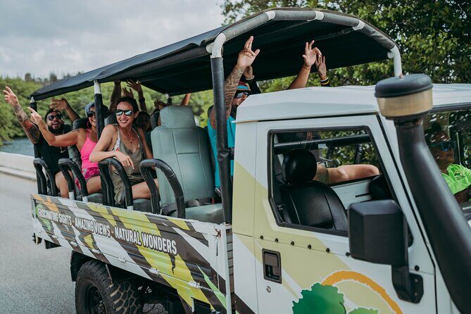 Aruba Signature Jeep Tour: Natural Pool and Baby Beach - Key things you’ll notice on this Jeep tour