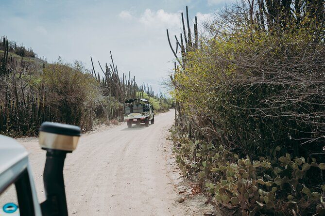 Aruba Signature Jeep Tour: Natural Pool and Baby Beach - The 4.5-hour pacing: what the ride-to-swim rhythm feels like