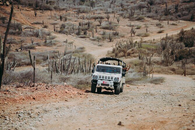 Aruba Signature Jeep Tour: Natural Pool and Baby Beach - Pickup, timing, and what to expect from the ride