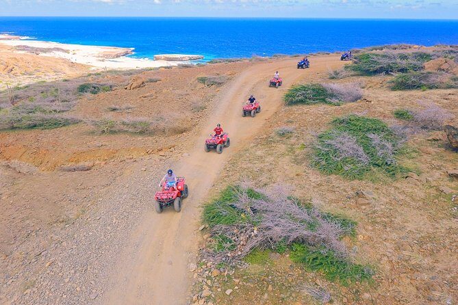 Aruba Single or Double Seater ATV Rentals for Off-Road Adventure - Key Points to Know Before You Ride in Aruba