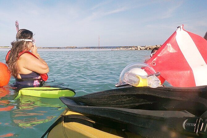 Aruba Snorkeling Tour: Mangel Halto and Baby Beach - Price and value: is $115 a fair deal?
