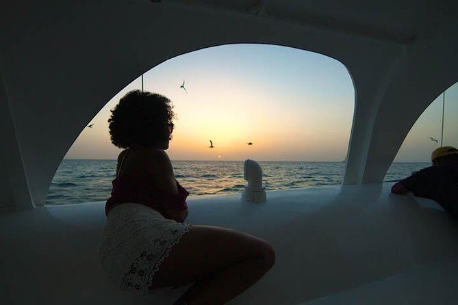 Aruba Sunset Sail Cruise Aboard The Dolphin Catamaran - Comfort and Group Size: 42 Passengers, Shared Energy, and Limited Outside Seating