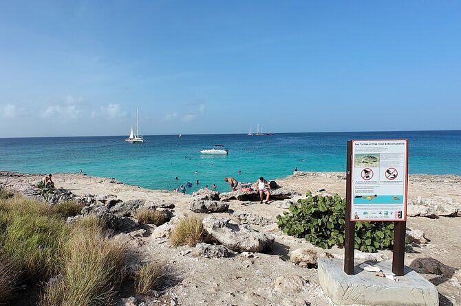 Aruba Turtle Spotting Snorkeling Adventure - Tres Trapi Beach: Why Sea Turtles Hang Here