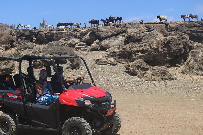 Aruba UTV, ATV Adventure to Secret Beach and Cave Pool - Who This Aruba UTV/ATV Adventure Fits Best