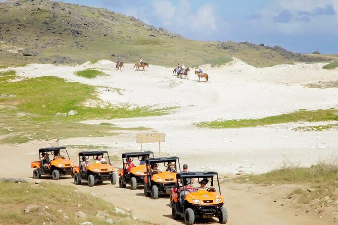 Aruba UTV Tour with Natural Cave Pool and Cliff Jumping - Shark Bay, Andicuri Beach, Tripod Bridge, And Black Stone Beach