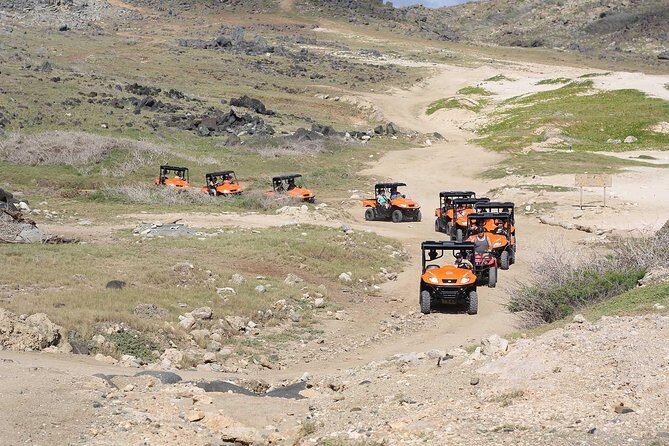 Aruba UTV Tour with Natural Cave Pool and Cliff Jumping - Philip’s Animal Garden: The Start Stop That Sets The Tone