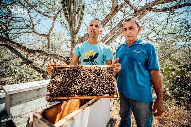 Aruba´s Bee Haven Private Adventure - Learning how honey works: tasting and the apiculture lesson