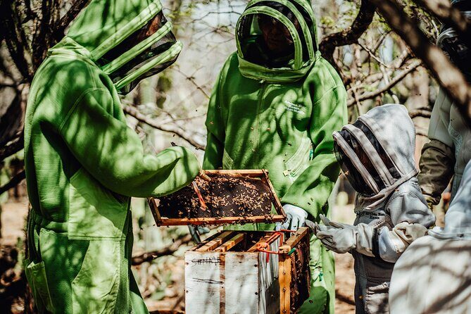Aruba´s Bee Haven Private Adventure - Walking through the apiary and the “cunucu” area