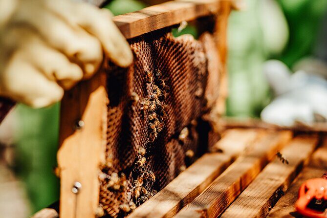 Aruba´s Bee Haven Private Adventure - Photos, water, and the small details that stick
